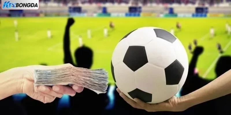 Đảm bảo tài chính người dùng Đảm bảo tài chính người dùng